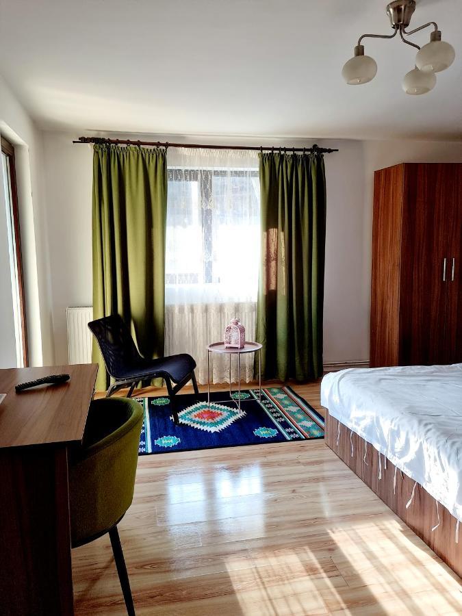 Casa Teodor Rucar Casa De Oaspeti Экстерьер фото
